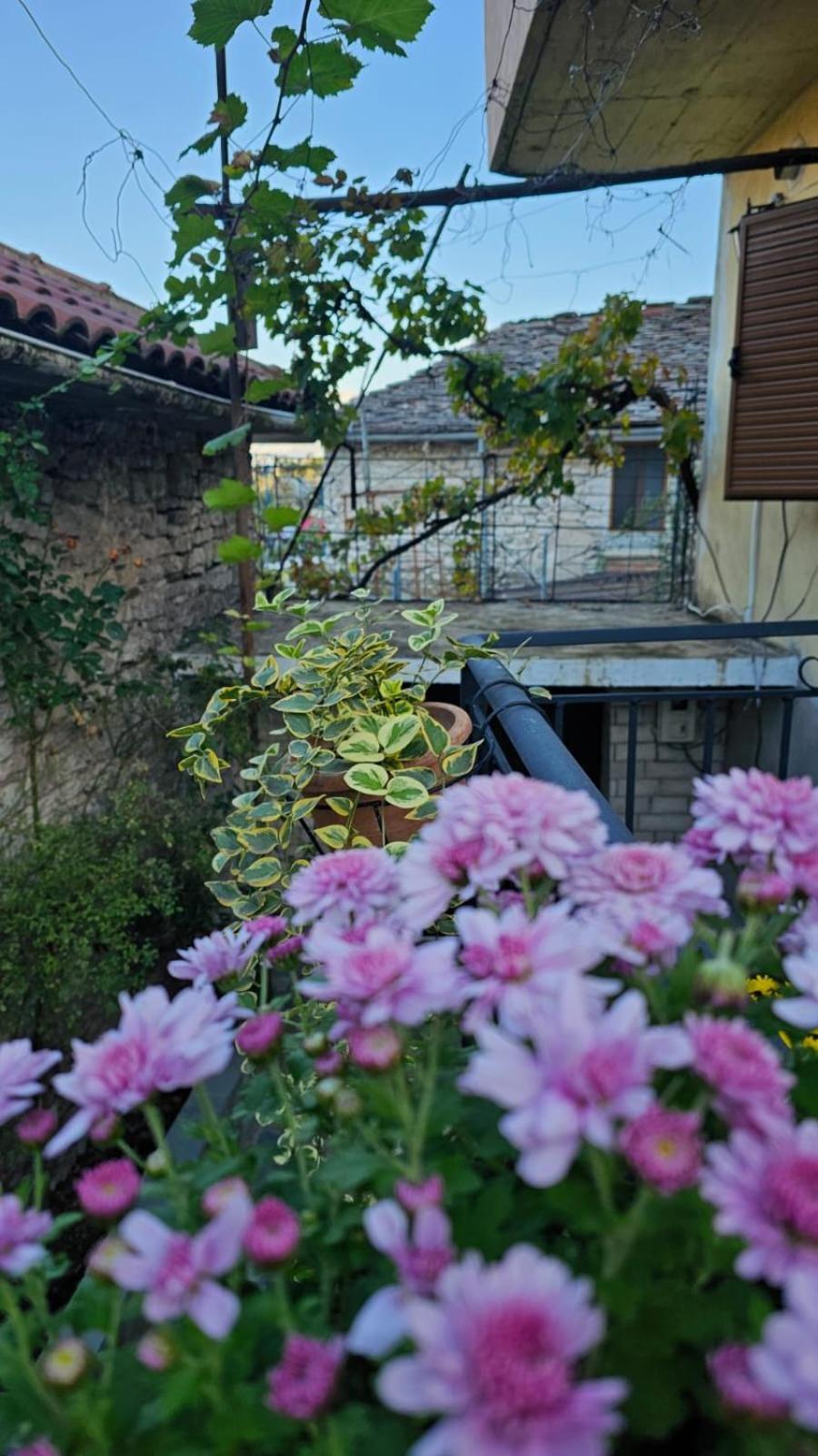 Luigi Guest House Gjirokastër Eksteriør billede